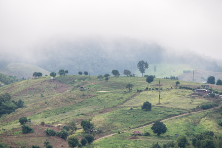 Plantation field of the local farmer on the high mountain which covering by the fog in the early morning, northern of Thailand.の写真素材