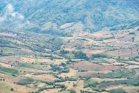 Plantation field of the local farmer on the hill located near the high mountain of the national park...