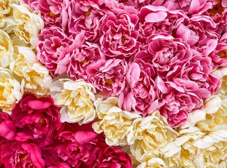 Closeup of the colorful artificial flowers from the fabric, on the wall of the shopping mall for decorated in the fastival, soft and smooth style for the feel-good of the customer, front view for the background.の写真素材