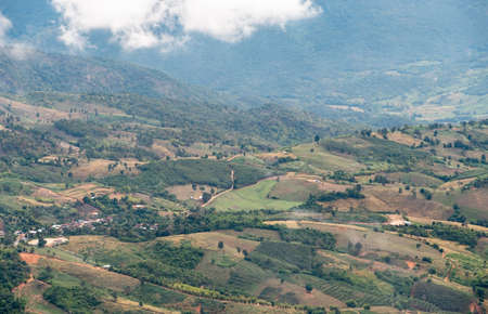 Plantation field of the local farmer on the hill near the high mountain of the national park,...
