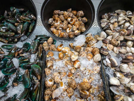 Group of the fresh mussels, Mercenaria mercenaria (quahog), babylonia areolata in the plastic tray with crushed ice for sale at the seafood market near the sea, front view for the background.の写真素材
