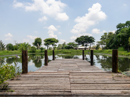 A rustic wooden pier extends over a tranquil lake in a lush garden, reflecting trees and sky, providing a peaceful retreat for nature lovers and relaxation seekers.の写真素材