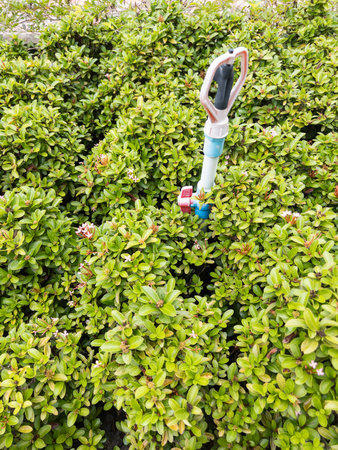 A sprinkler watering a vibrant flower garden in a public park. Surrounded by green plants and dew-kissed petals, it highlights a serene Thai landscape under morning sunlight.の写真素材