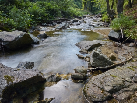 Stream in the forestの写真素材