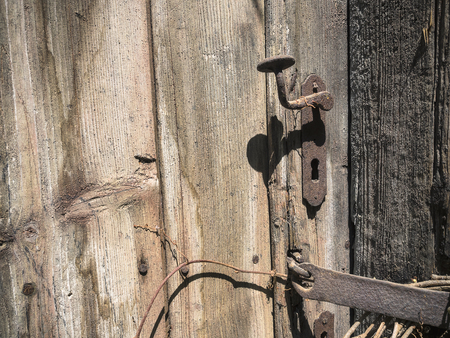 Old rusted door handle of the deserted dirty wooden door  with bits of dried ivy with handle for padlock taken closeupの写真素材