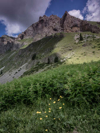Peak near Gorna Leshnica, Shara mountain, Macedoniaの写真素材
