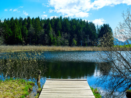 Beautiful lake Egelsee with Pier near Unterach am Attersee in Upper Austriaの写真素材