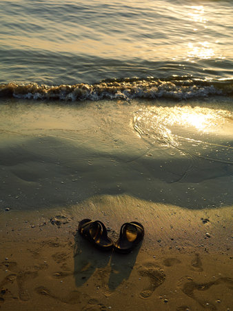 Sandal on beach beach during the sunsetの写真素材