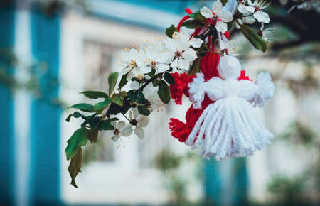 Red and white beautiful martisor hanging on the branches of the blooming tree. Martenitsa beginning of spring celebration. Romania and Bulgaria tradition. White flowersの写真素材