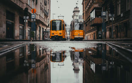 Reflection of a yellow tram in a puddle on the streetの写真素材