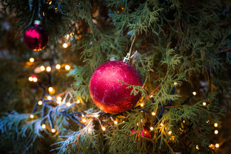 Vivid Christmas decorations on the pine tree branch closeup. Blurred background and shiny Christmas lights. Bokeh. Vivid ball sphereの写真素材