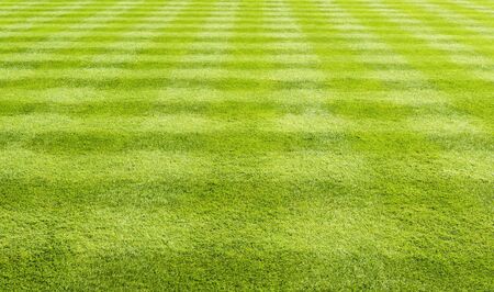 Lawn with the grass closely cut in a cross hatched patternの写真素材