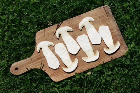 cut mushrooms on board. Grass backgroundの写真素材