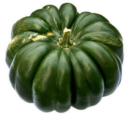 big green pumpkinの写真素材