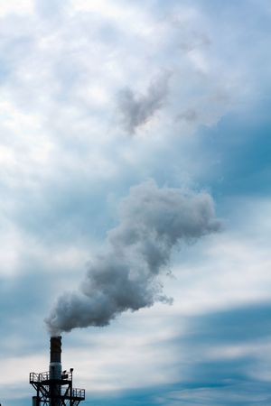 Smoke from the stalk ecology problems