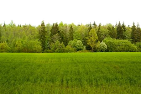 Rural grassland with sky and cloudsの写真素材