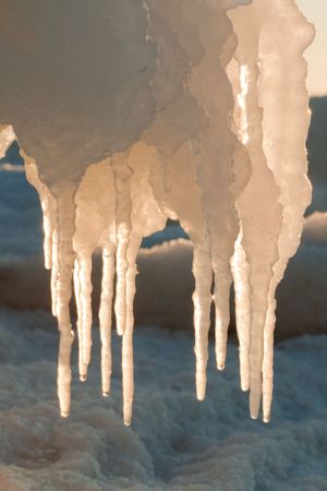 Icicles in winter on sunset lightの写真素材