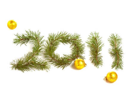 Fir branches 2011 on whiteの写真素材