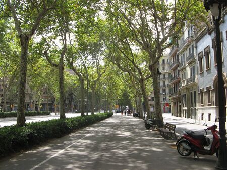 spanish walk way under shade