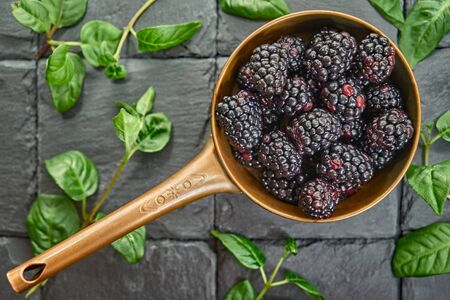 Blackberries, dark blue fruit in a copper saucepanの写真素材