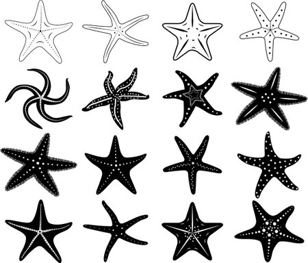 Starfish Cricut, Starfish Cut Files, Starfish Silhouette, Ocean animal Clipartのイラスト素材
