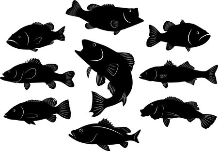 Fishing, Bass Fishing Silhouette, Jumping Fish Cut Fileのイラスト素材