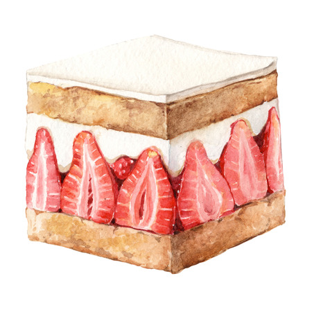 watercolor strawberry pie dessert illustration creamy strawberryの写真素材