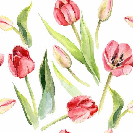 tulips flower watercolor pattern illustration print textileの写真素材