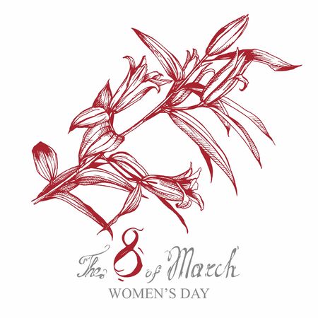 lily flower illustration background drawing isolatedの写真素材