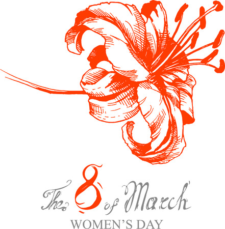 vector lily flower illustration background drawing isolatedのイラスト素材