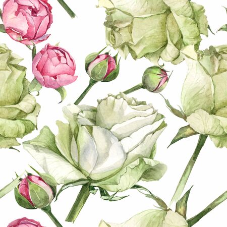 watercolor background pattern with bud, rose white and pinkの写真素材