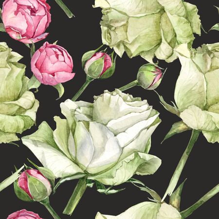 watercolor background black pattern with bud, rose white and pinkの写真素材