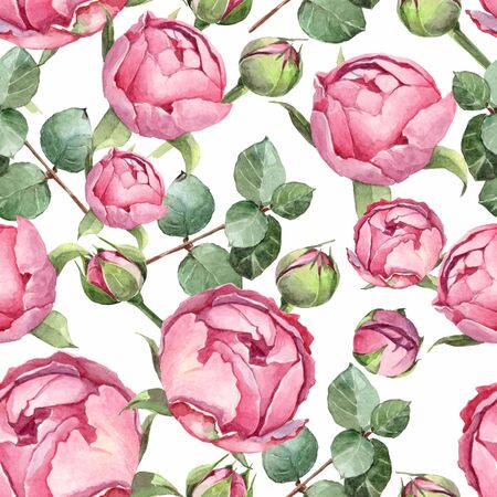 watercolor background pattern with bud, rose white and pinkの写真素材