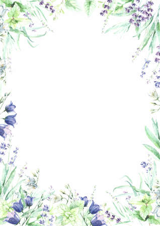 watercolor flowers background frame wifh bellflower, lavender, forest herbsの写真素材
