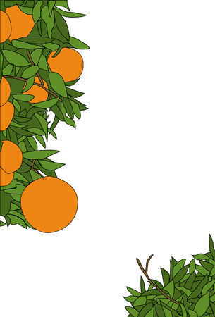 An orange plant page border designのイラスト素材