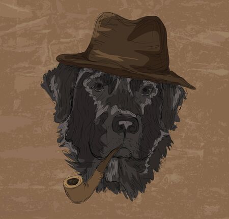 Vintage retro style color drawing of funny labrador retriever dog with hat and pipe のイラスト素材