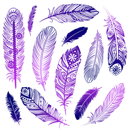 Set of  Ehnic feathers can be used as a greeting card or for your businessのイラスト素材