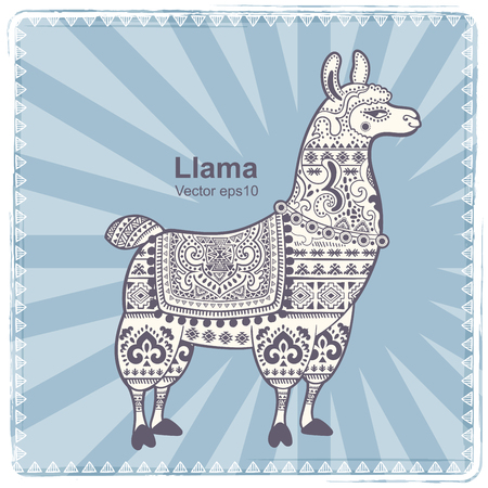 Vector cute Alpaca Llama animal with ethnic ornamentsのイラスト素材