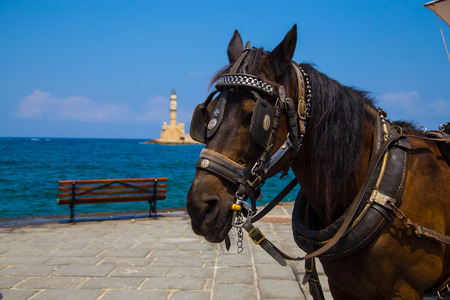 Old venetian town Chania at Crete, Greeceの写真素材