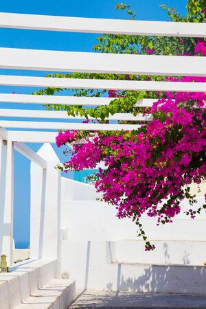 Beautiful views of santorini, Greek Resortの写真素材