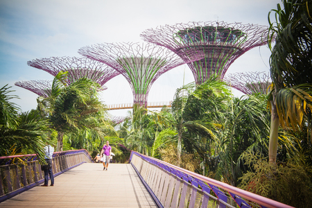 Singapore Gardens by the Bayのeditorial素材