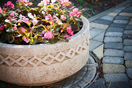 antique vase in garden for plantsの写真素材