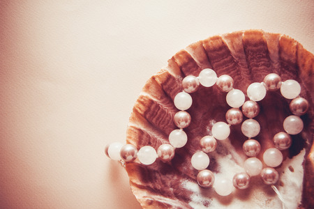 conceptual photo of pearl shell, dentistry teeth healingの写真素材