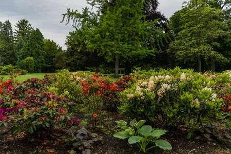 31 May 2019 Vienna, Austria - Forman gardens of Schonbrunn palace. Springtime cloudy dayのeditorial素材