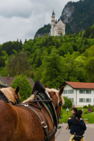 26 May 2019 Fussen, Germany - horse carriages waiting for tourists near Neuschwanstein castle and Hohenschwangau castle.のeditorial素材
