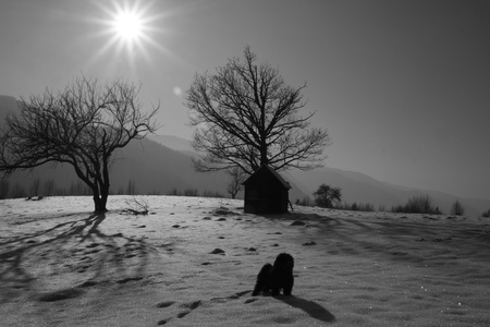 The watcher of the houseの写真素材