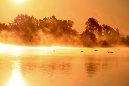 Sunset covers the lake with golden lightの写真素材