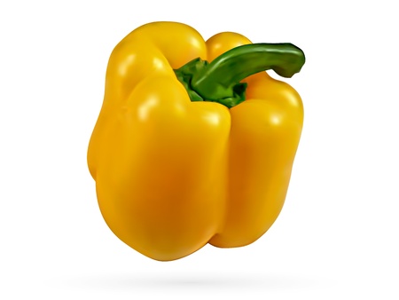 3d vector graphic of a bell pepperのイラスト素材