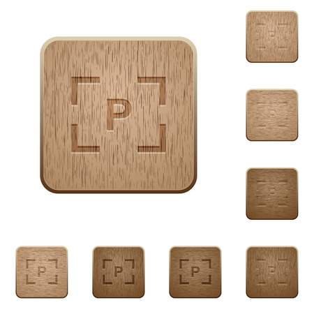 Camera program mode on rounded square carved wooden button stylesのイラスト素材