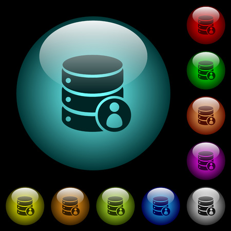 Database privileges icons in color illuminated spherical glass buttons on black background. Can be used to black or dark templatesのイラスト素材